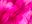 that_is_pink