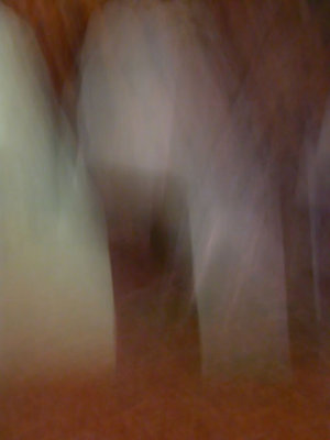 Foggy_Tree_by_FiLH.jpg