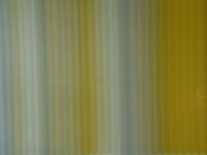Yellow_Collection_by_FiLH.jpg